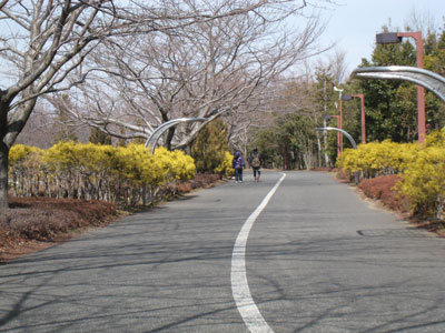 花木の小径
